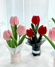 Načíst obrázek do prohlížeče Galerie, Plyšové drátky k modelování - mystery balení 10 ks