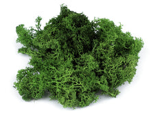 Načíst obrázek do prohlížeče Galerie, Stabilizovaný mech 20 g v krabičce