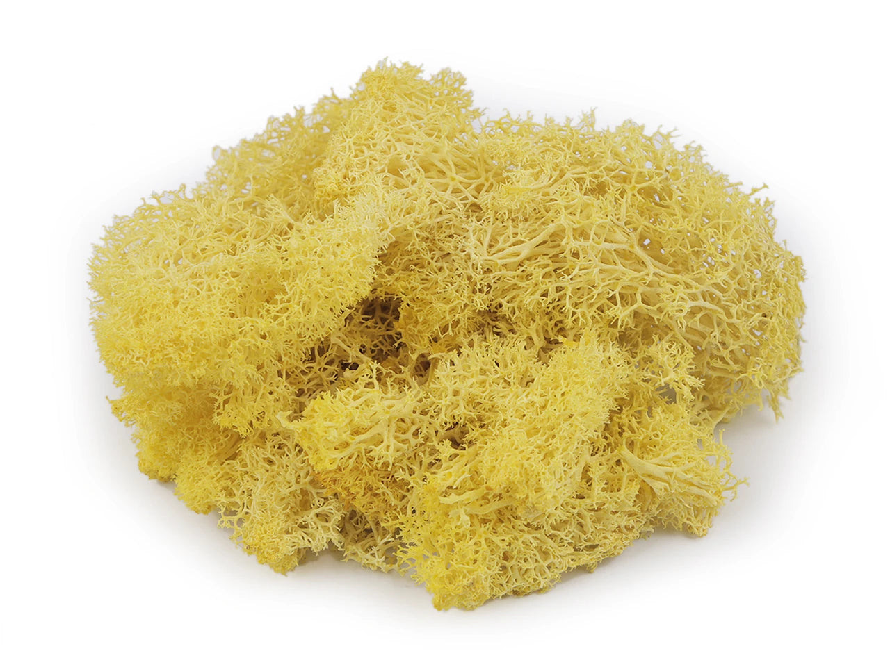 Stabilizovaný mech 20 g v krabičce