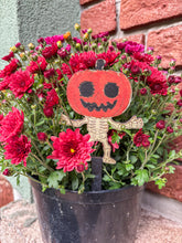 Načíst obrázek do prohlížeče Galerie, Dřevěné zápichy k domalování - HALLOWEEN