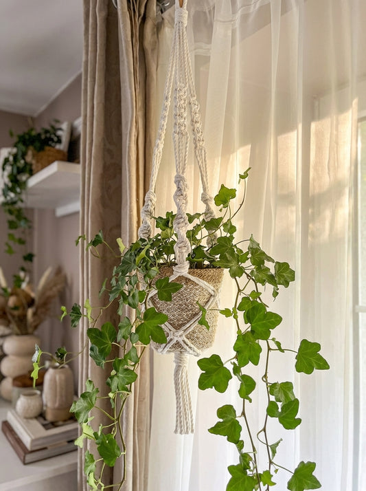 Kreativní sada - Macramé závěs na květiny