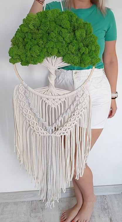 Stabilizovaný mech 20 g v krabičce