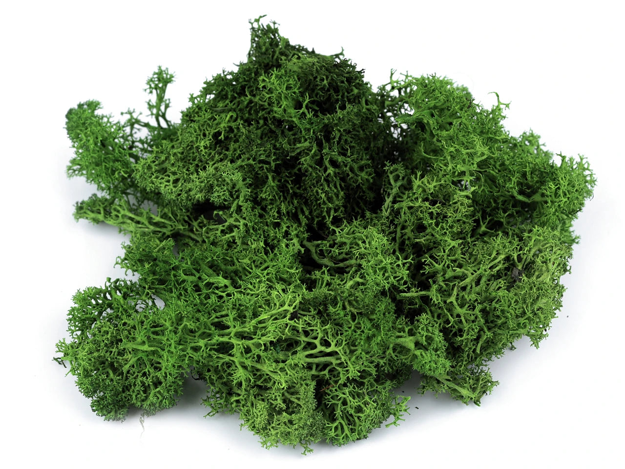 Stabilizovaný mech 20 g v krabičce