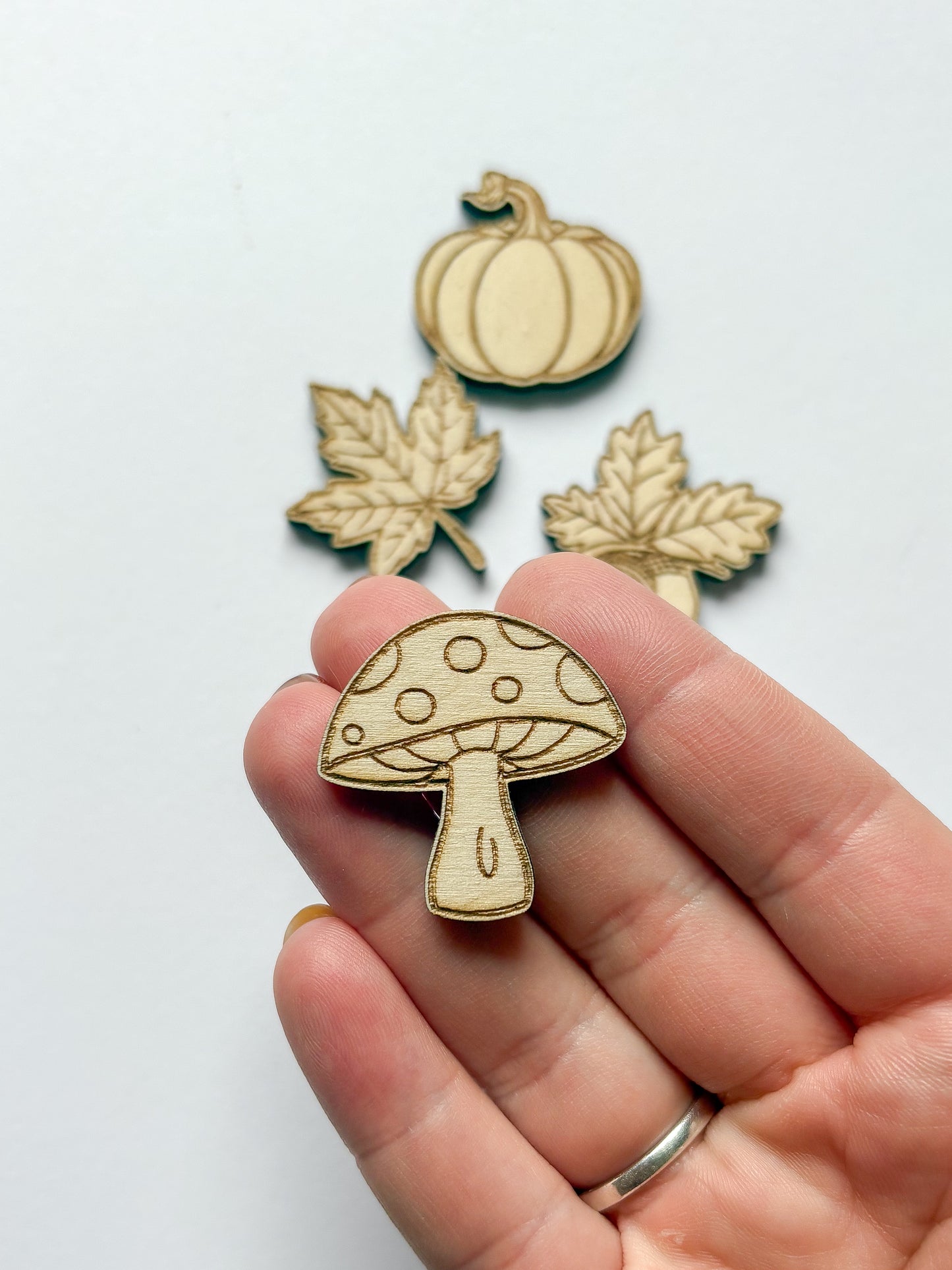 Dřevěné podzimní ozdoby