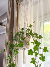 Načíst obrázek do prohlížeče Galerie, Macramé závěs na květináč

